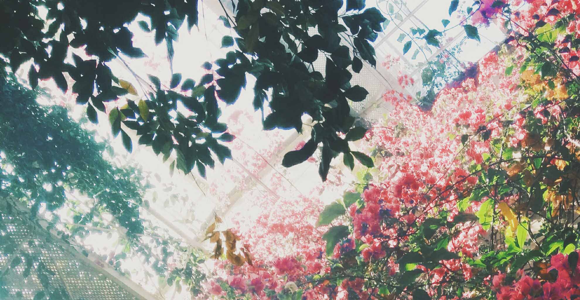 demo1980x1024